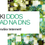 Zašto je veliki DDoS napad na DNS umalo srušio internet?